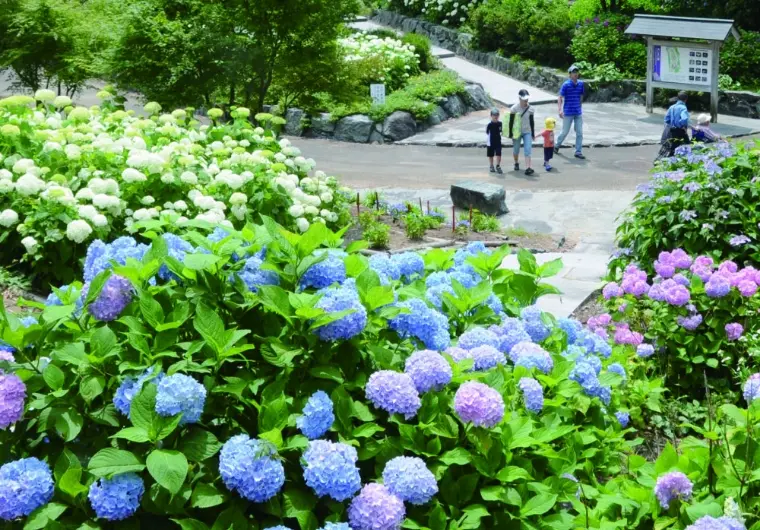 江汐公園 風景
